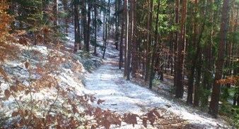 Bucklige Welt