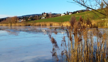 Bucklige Welt