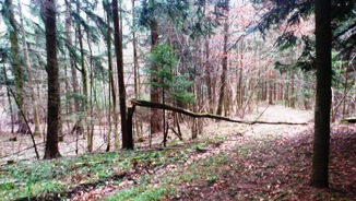 Bucklige Welt