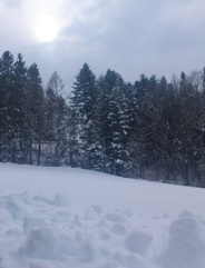 Bucklige Welt