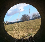 Bucklige Welt