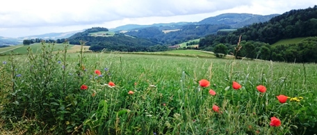 Bucklige Welt