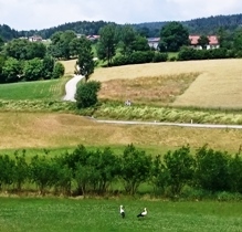 Bucklige Welt