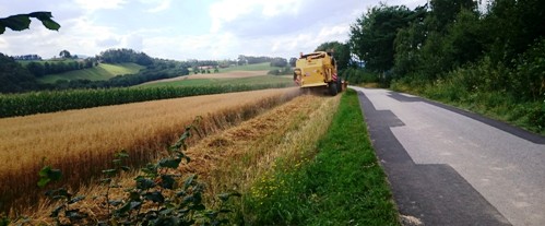 Bucklige Welt