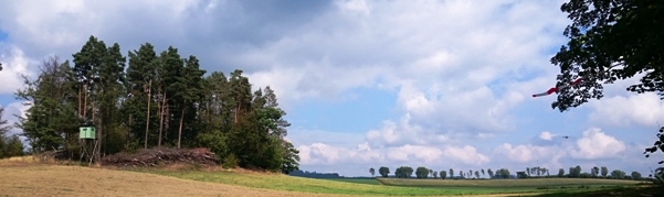 Bucklige Welt