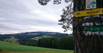 Bucklige Welt