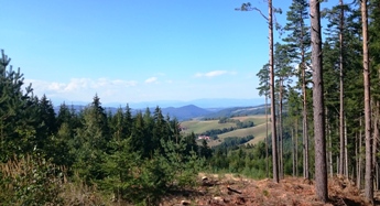 Bucklige Welt