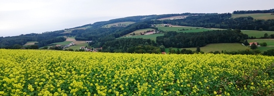 Bucklige Welt