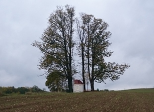 Bucklige Welt