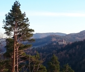 Bucklige Welt