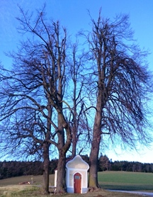 Bucklige Welt