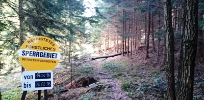 Bucklige Welt
