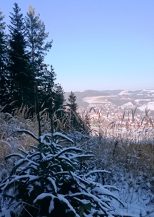 Bucklige Welt