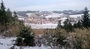 Bucklige Welt