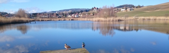 Bucklige Welt