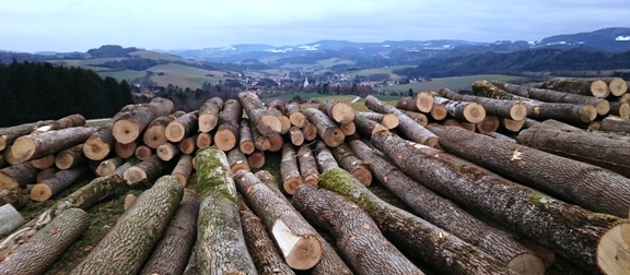 Bucklige Welt