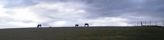 Bucklige Welt