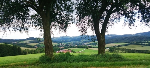 Bucklige Welt