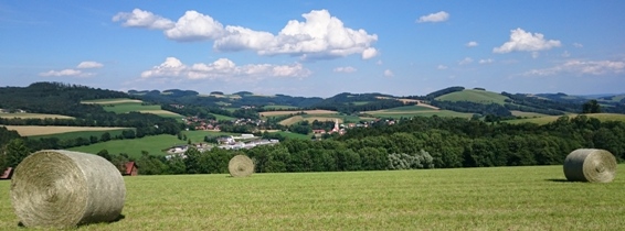 Bucklige Welt
