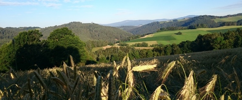 Bucklige Welt