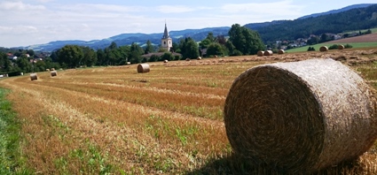 Bucklige Welt