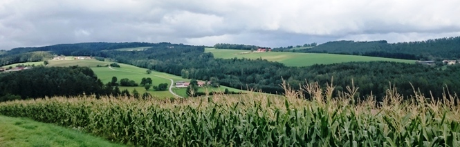 Bucklige Welt