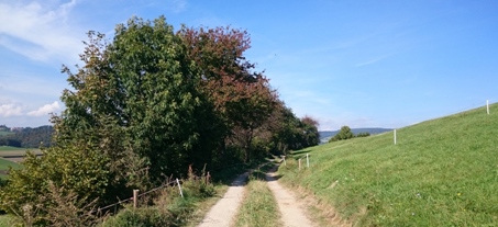 Bucklige Welt