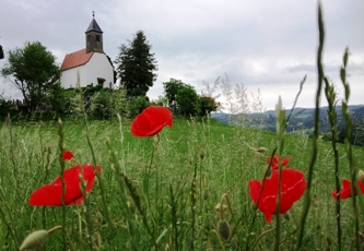 Bucklige Welt