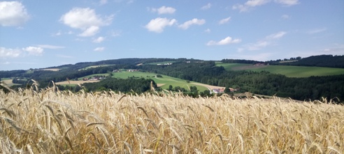 Bucklige Welt