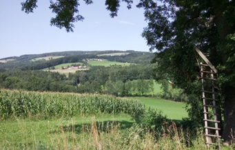Bucklige Welt