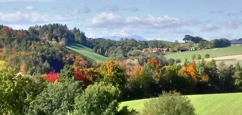 Bucklige Welt