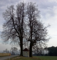 Bucklige Welt