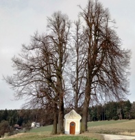 Bucklige Welt