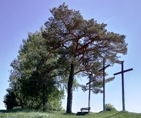 Bucklige Welt