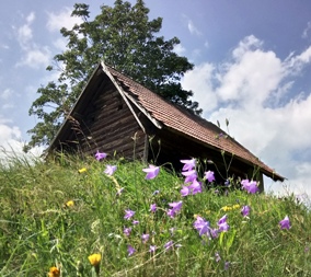 Bucklige Welt