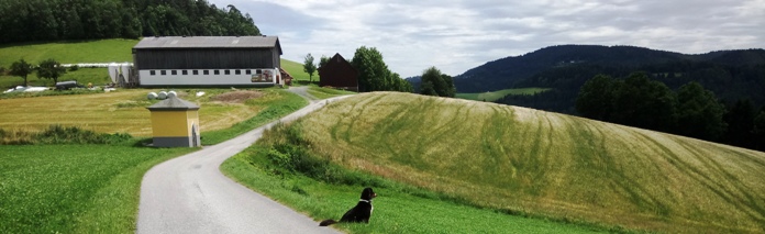 Bucklige Welt