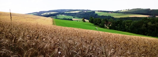 Bucklige Welt