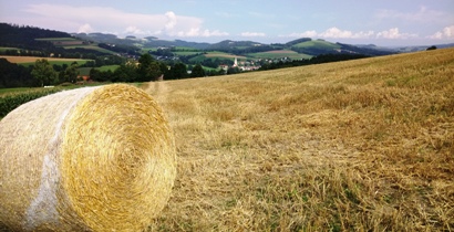 Bucklige Welt