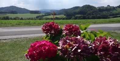 Bucklige Welt