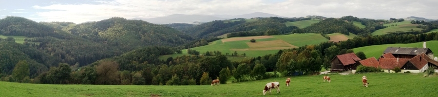 Bucklige Welt