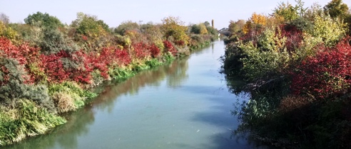 Marchfeldkanal