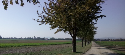 Marchfeldkanal