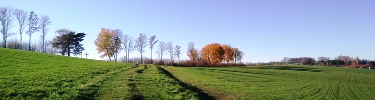 Bucklige Welt