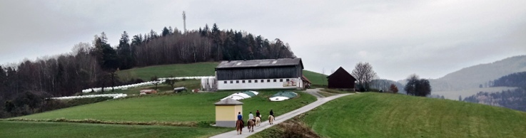 Bucklige Welt