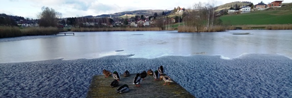 Bucklige Welt