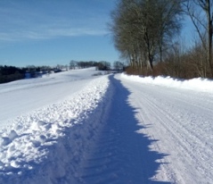 Bucklige Welt