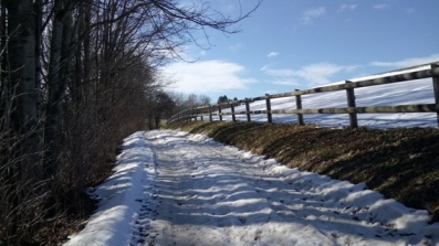 Bucklige Welt