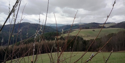 Buckligen Welt