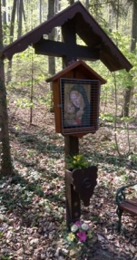 Buckligen Welt