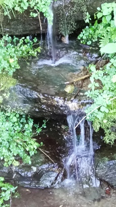 Bucklige Welt